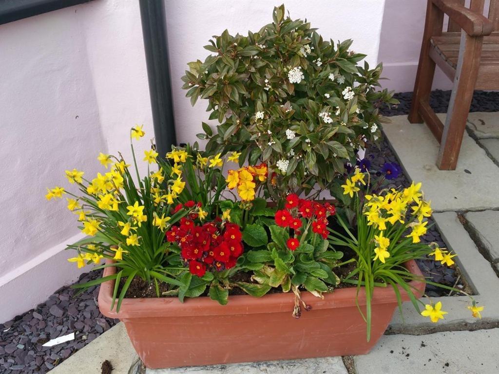 Y Garth Luxury Bed And Breakfast Dinas  Esterno foto